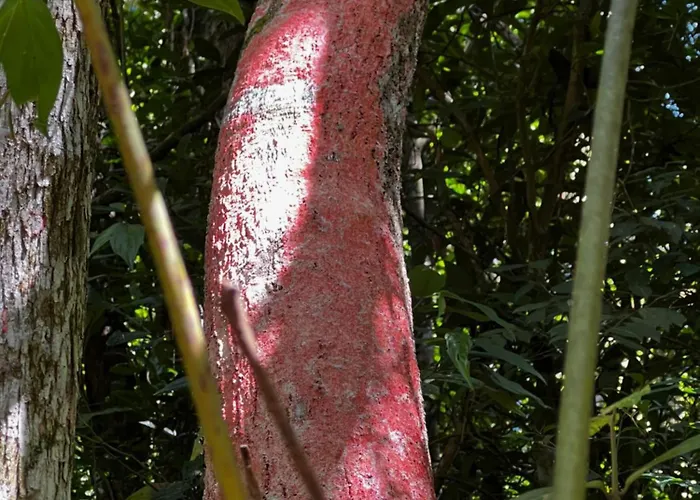 Pousada Vale Das Aguias
