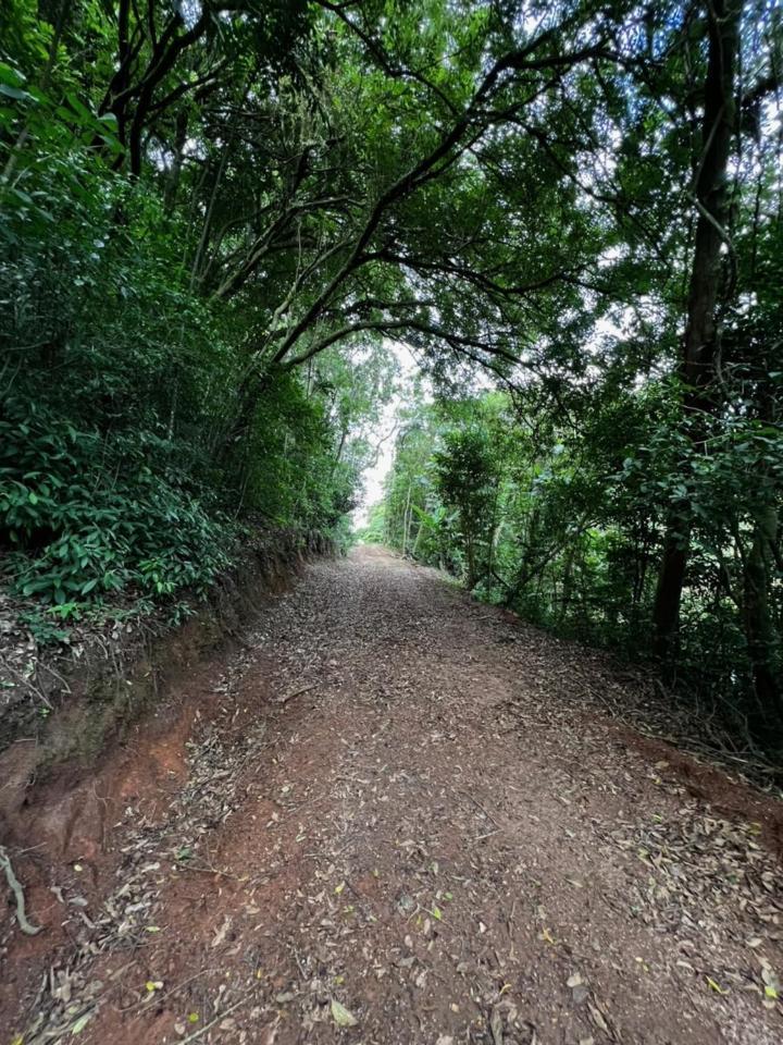 Vale Aguias
